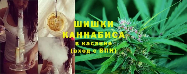 стафф Аркадак