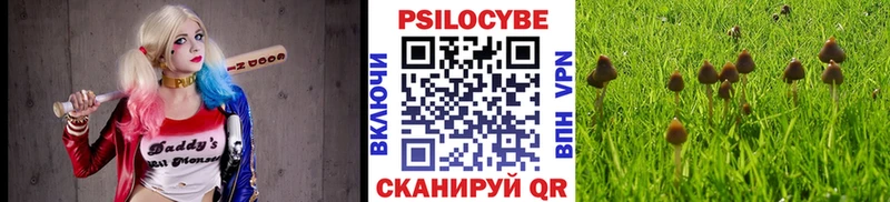 Псилоцибиновые грибы ЛСД  площадка официальный сайт  Оса 